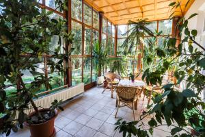 invernadero con plantas, mesa y sillas en Festetich Kastélyszálló és Zsuzsanna Hotel, en Szeleste