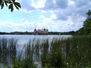 a large building on the shore of a lake at Ferienwohnung Familie Arlt in Königstein an der Elbe