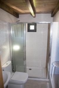 a bathroom with a shower with a toilet and a sink at A casa do viveiro in Dormeá