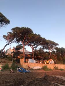 チェファルにあるLe Terrazze sul Mare - Capo Aranciotto Beachの海辺の家