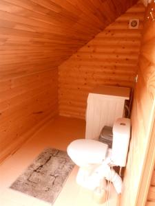 Gallery image of Гірський релакс in Golovetsk +34 photos