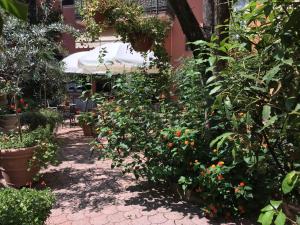 un giardino con molti fiori e un ombrello di Residence Gloria a Montecatini Terme