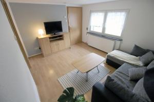 ein Wohnzimmer mit einem Sofa und einem TV in der Unterkunft Ferienhaus Winterberg-Zentrum in Winterberg