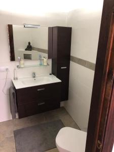 ein Badezimmer mit einem Waschbecken, einem WC und einem Spiegel in der Unterkunft Casa Rural in Fataga in San Bartolomé de Tirajana