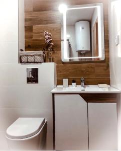 een badkamer met een wastafel, een toilet en een spiegel bij Vila Elsa 1 S13 in Zlatibor