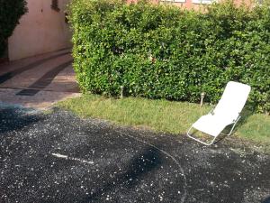 Vonkajšia záhrada v ubytovaní Michela