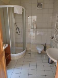 a bathroom with a shower and a toilet and a sink at Antela, 142 m2 appartment for 12 person in Mariborsko Pohorje in Hočko Pohorje
