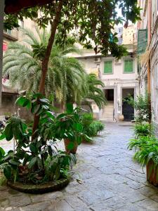 Vonkajšia záhrada v ubytovaní Galasso Apartments + 37 fotografií
