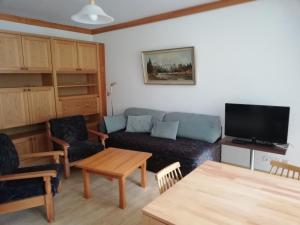 salon z kanapą i stołem w obiekcie Wohlfühl - Appartement Fewo Pichlarn Irdning Ferienwohnung w mieście Aigen im Ennstal