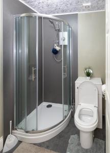 a bathroom with a shower and a toilet at 3 bedroom apartment newcastle city centre in Newcastle upon Tyne
