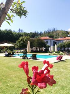 a red flower in front of a swimming pool at THE RIVER HOUSE - Termas Guesthouse in Termas de Sao Pedro do Sul