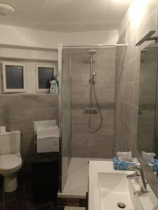 La salle de bains est pourvue d'une douche, de toilettes et d'un lavabo. dans l'établissement Appartement centre-ville proche lac et thermes, à Thonon-les-Bains