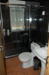 a bathroom with a toilet and a shower and a sink at Casa das 4 estações in Castelo Branco