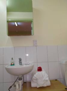 a bathroom with a sink and a towel at Malau Lodge in Nuku‘alofa