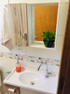 a bathroom sink with a mirror and a plant at Star house in Foz do Iguaçu