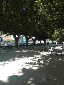 A garden outside EL RINCON DE LUZ