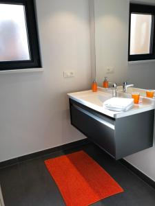 a bathroom with a sink and a red rug at Les Appartements du Renard in Strasbourg