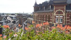 uma vista para uma cidade com edifícios e flores em Hotel 3 Könige em Aachen