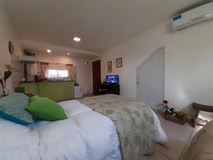 Fotografie z fotogalerie ubytování Departamento Encantador monoambiente Domaine Laborde I v destinaci Mendoza + 12 fotografií