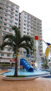 a water park with a water slide and a palm tree at Caldas Novas Riviera in Caldas Novas
