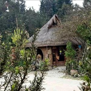 une petite cabane au toit de chaume dans une forêt dans l'établissement Cabañas Rukas Licantén, à Licantén