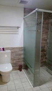 a bathroom with a glass shower and a toilet at 梅花湖 轉角民宿 in Dongshan