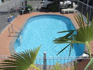 una gran piscina azul con una palmera al lado en Mana-Nui Motel, en Whitianga