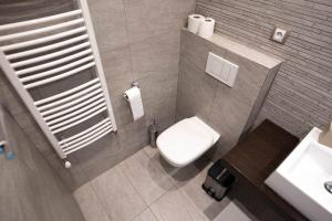 małą łazienkę z toaletą i umywalką w obiekcie Penzion u Trávníčka w mieście Modřice +13 zdjęć