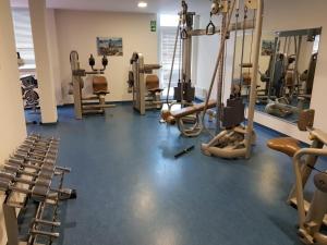 Fitness centrum a/nebo fitness zařízení v ubytování Family Appartment