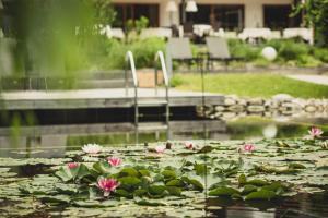 Vonkajšia záhrada v ubytovaní Vegan Hotel La Vimea
