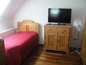 um quarto com uma cama e uma televisão numa cómoda em Sághegy Fogadó és Panzió em Celldömölk