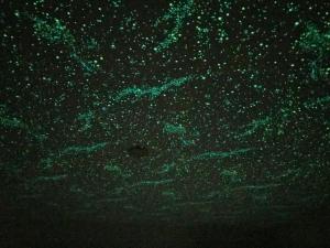 un fondo verde con estrellas en el cielo en Rapport Kukomae 207 en Fukuoka