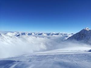 Alpengasthof Grüner talvel