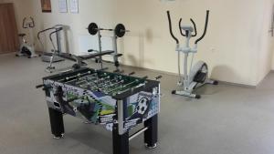 Fitness centrum a/nebo fitness zařízení v ubytování Europa