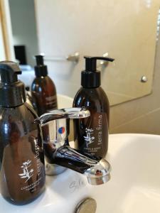 a bathroom sink with two soap dispensers on it at Victoria and Alfred Guest House in Port Elizabeth