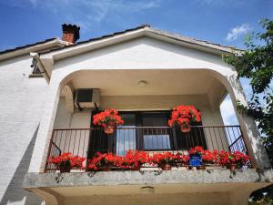 Galeriebild der Unterkunft Apartmani Žic in Šilo