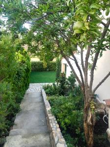 Vonkajšia záhrada v ubytovaní Villa Matu’