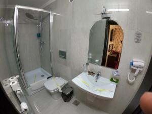 Casa Bucovineana في سوسيفا: حمام مع حوض ودش ومرحاض