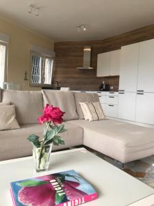 Afbeelding uit fotogalerij van Moderne Ferienwohnung mit Traumseeblick Lago Maggiore in Luino