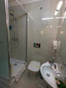 Casa Bucovineana في سوسيفا: حمام مع دش ومرحاض ومغسلة