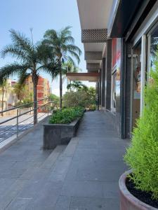 Imagen de la galería de Apartamentos Bruja, en Santa Cruz de Tenerife
