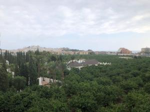 Príroda v okolí apartmánu