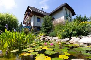 a pond with lilies in front of a house at Penzion Pod Hradem in Potštejn