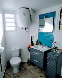 a bathroom with a toilet and a sink and a mirror at Chalet "BIENVENUE NOUT KAZ" in Saint-Gilles-les Hauts