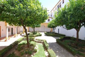 Zahrada ubytování El Rincon de Elena (Garden Apartment)