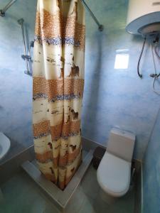 Ένα μπάνιο στο Guesthouse Kurortnaya 46 +4 φωτογραφίες