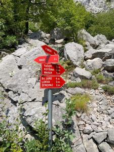 Príroda v okolí apartmánu