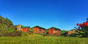 ein großes Haus mit grünem Rasen davor in der Unterkunft Grandpas Hotel & Restaurante in Cartago