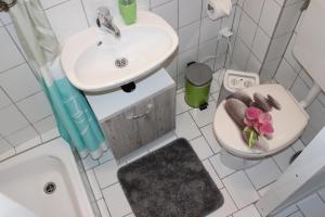 een kleine badkamer met een wastafel en een toilet bij Ferienwohnung Würzburg/Heidingsfeld in Würzburg