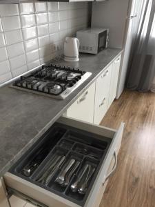 a kitchen with a stove top oven in a kitchen at Scandinavian apartment in Lviv